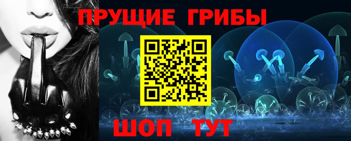 Шебекино  Галлюциногенные грибы прущие грибы  Вход с VPN 