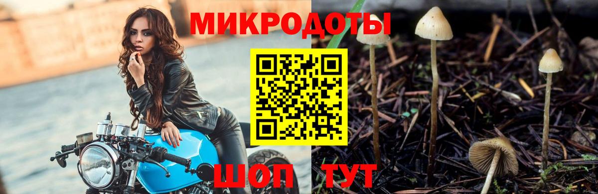 Галлюциногенные грибы мухоморы Шебекино